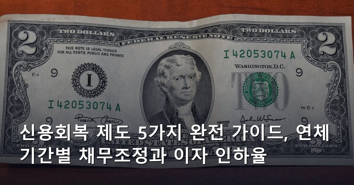 신용회복 제도 5가지 완전 가이드, 연체 기간별 채무조정과 이자 인하율